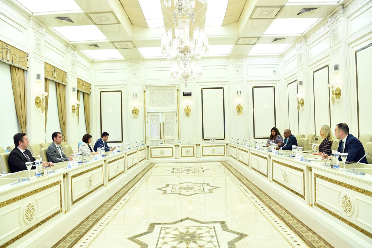 Chair of Milli Majlis Sahiba Gafarova Meets President of UN 76th General Assembly
