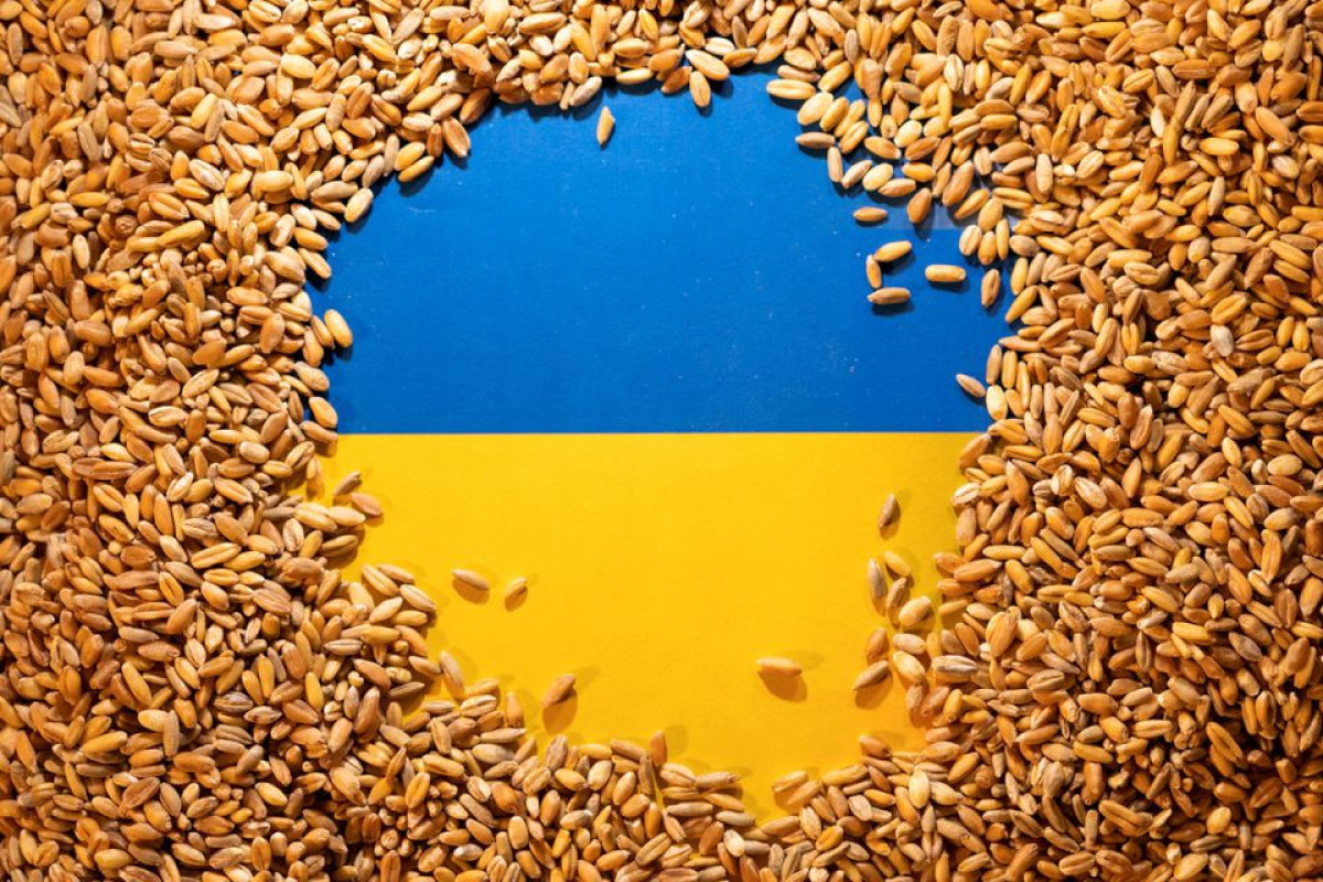 Turkiye says Ukraine grain ships could avoid mines, Russia offers safe passage