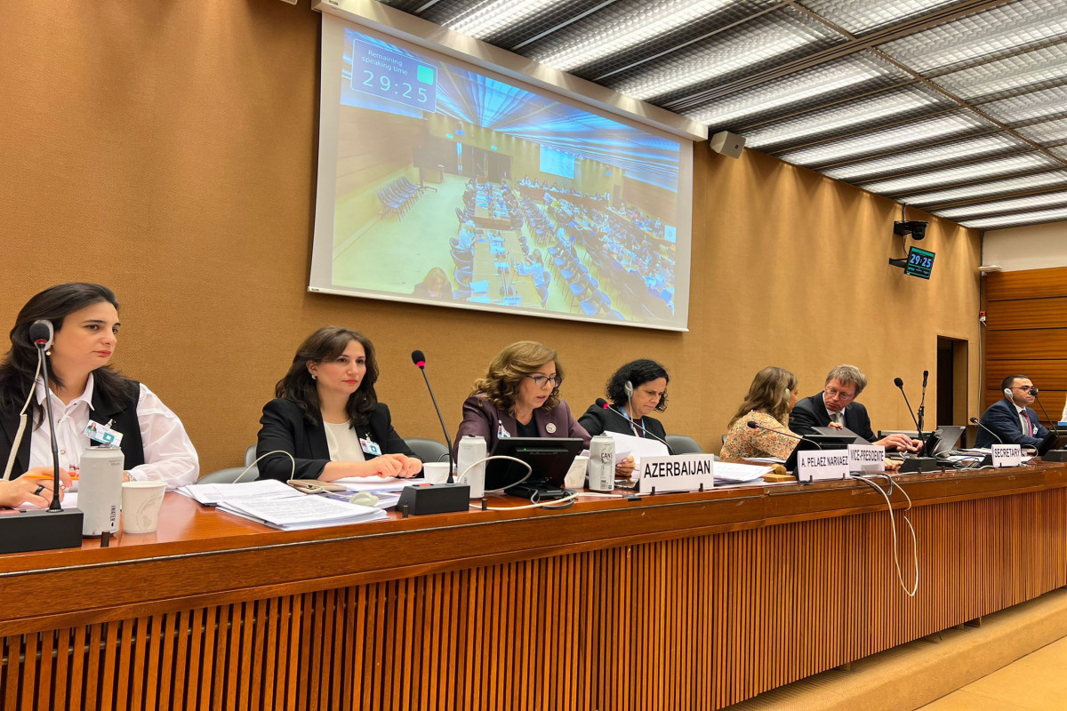 Report of Azerbaijani Government introduced at the UN session
