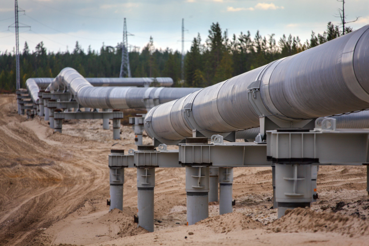 Azerbaijan's oil export revenues increased by 64%