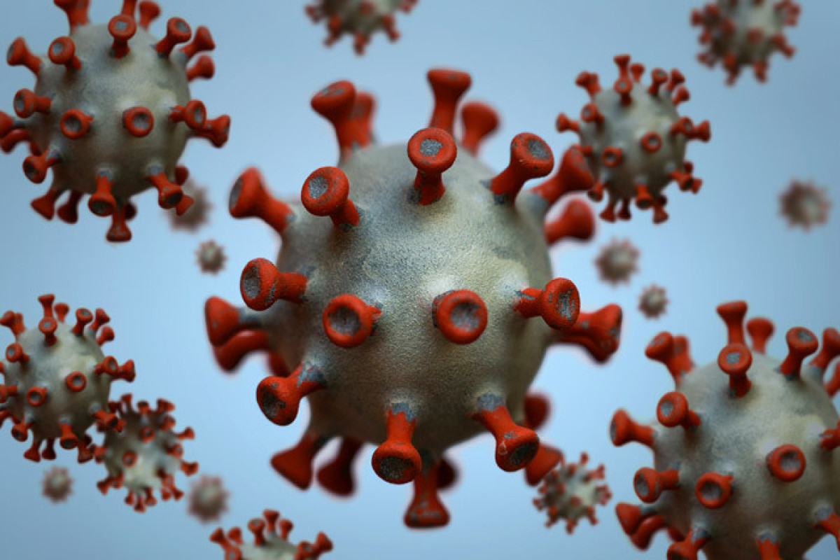 American researcher: "There is a probability of preparation of novel coronavirus in US labs"