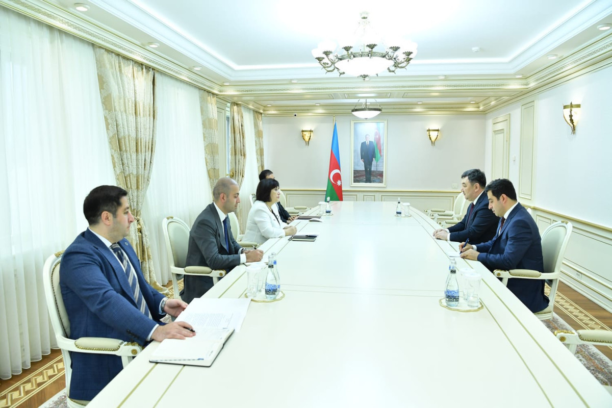 Sahiba Gafarova meets with President of the International Turkish Academy