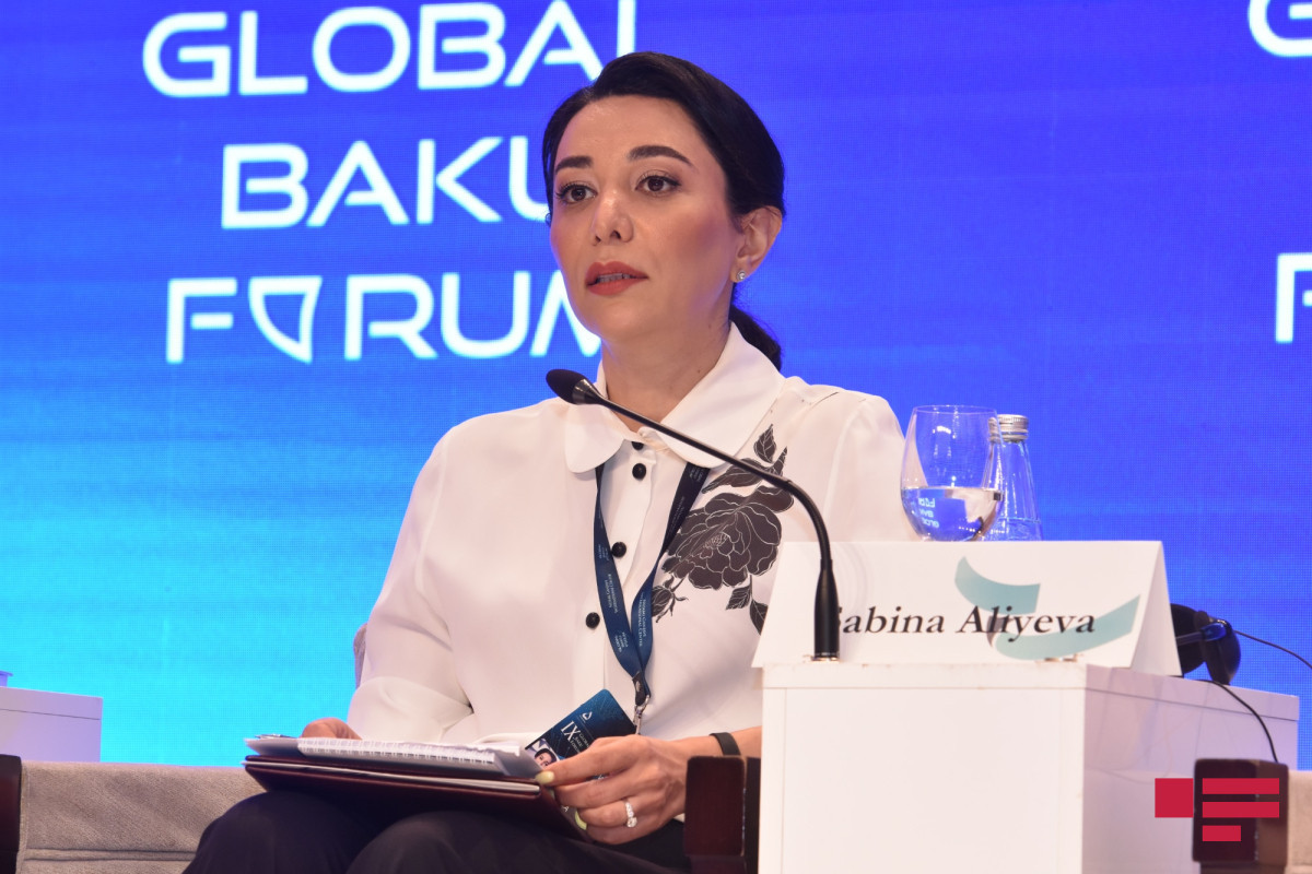 Sabina Aliyeva,  Commissioner for Human Rights of Azerbaijan