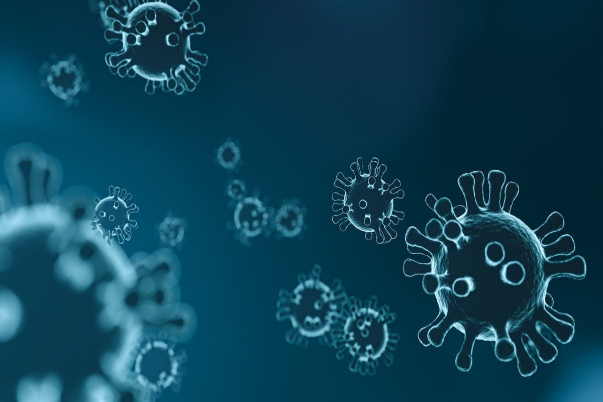 Azerbaijan appeals to WHO for conduction of monkeypox diagnosis