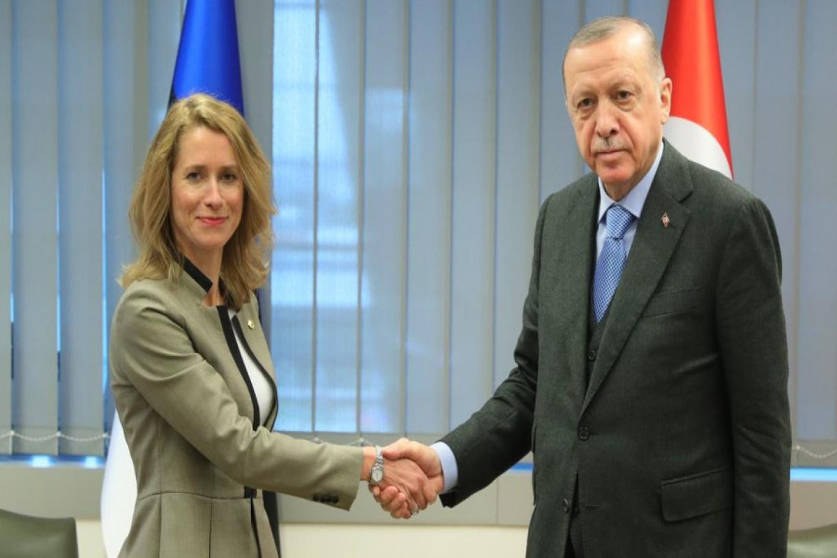 Erdogan mulls Ukraine with Estonian PM