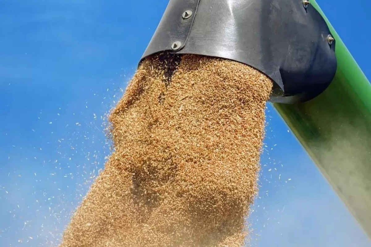Istanbul to host meeting on releasing Ukrainian grain stuck at ports