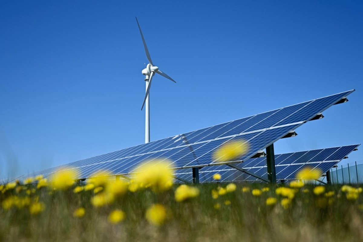 Working Group on application of green technologies in Azerbaijan's liberated territories to be established