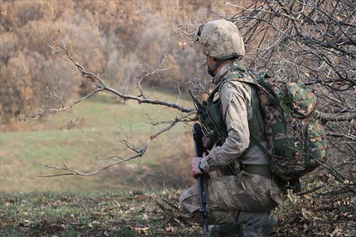 2 Turkish servicemen martyred