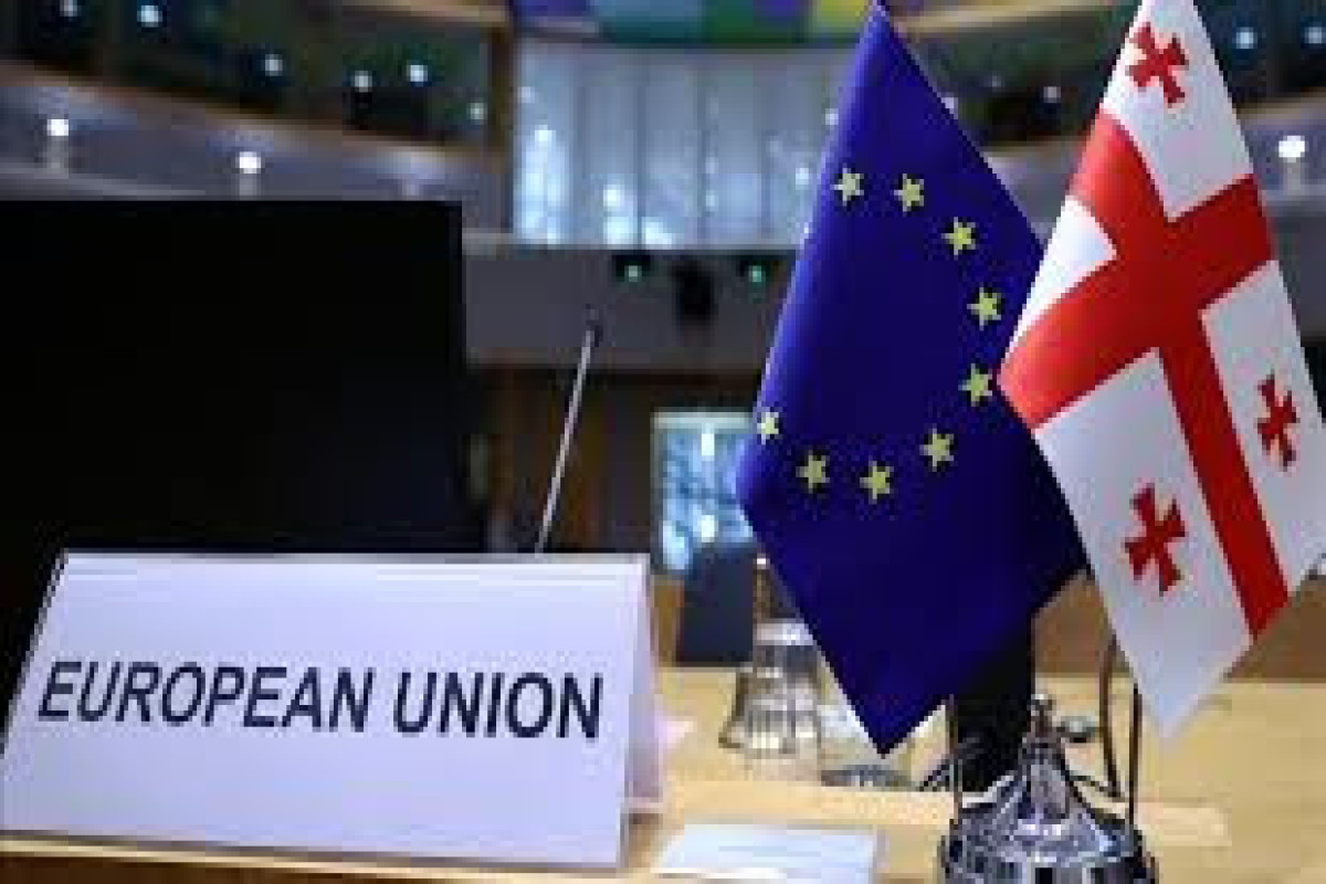 European Parliament does not approve EU candidate status for Georgia