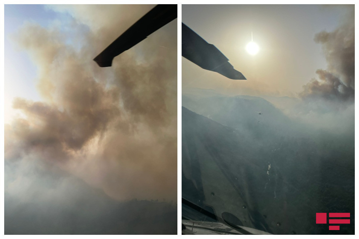 Forest fires in Turkiye: New footage-VIDEO 