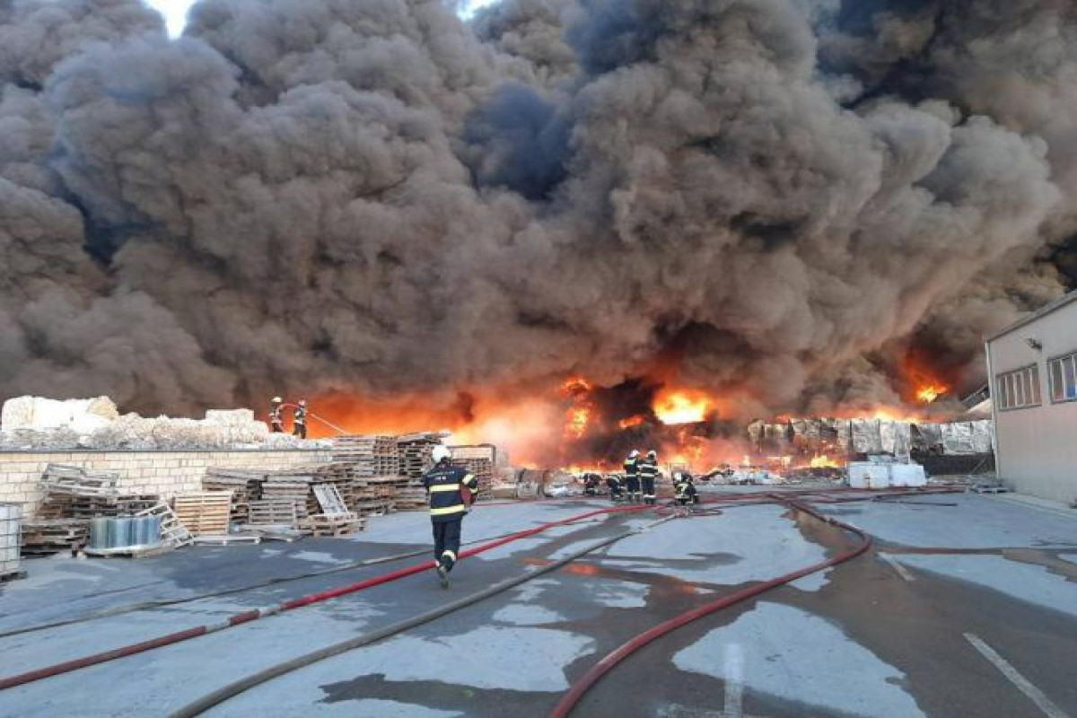 German reinsurance company to compensate for damage to burning plant of Azersun Holding-EXCLUSIVE 