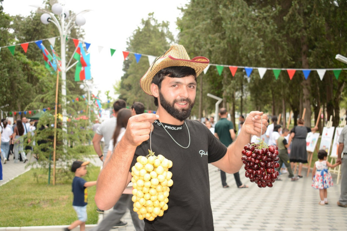 "Sour Cherry and Cherry" festival held for the first time in Azerbaijan-PHOTO 