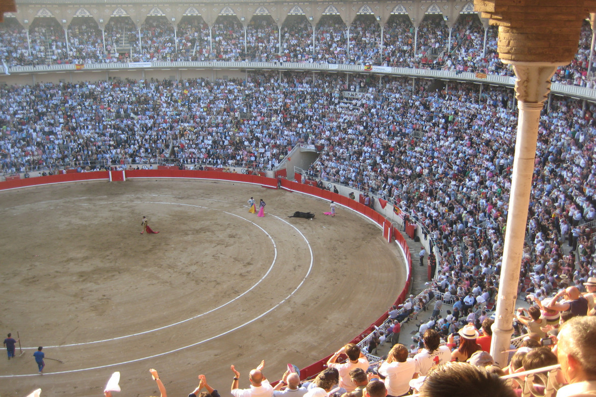 Four dead and hundreds injured as bullfight stand collapses in Colombia-VIDEO 