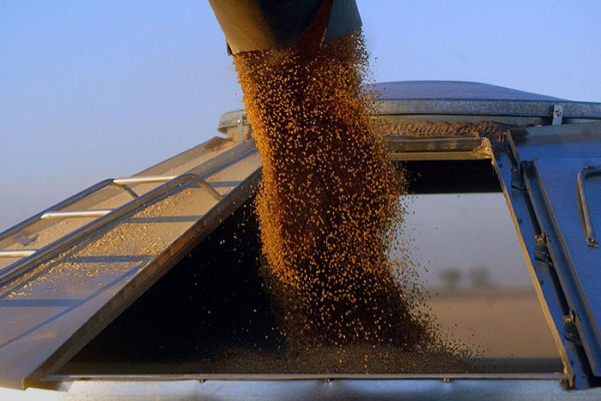 UK will restore railways in Kyiv to facilitate grain exports