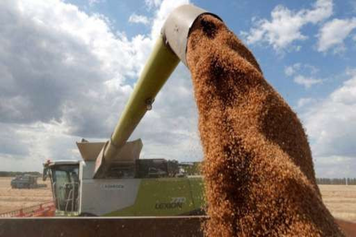 World cannot cope with multiple famines - World Food Programme