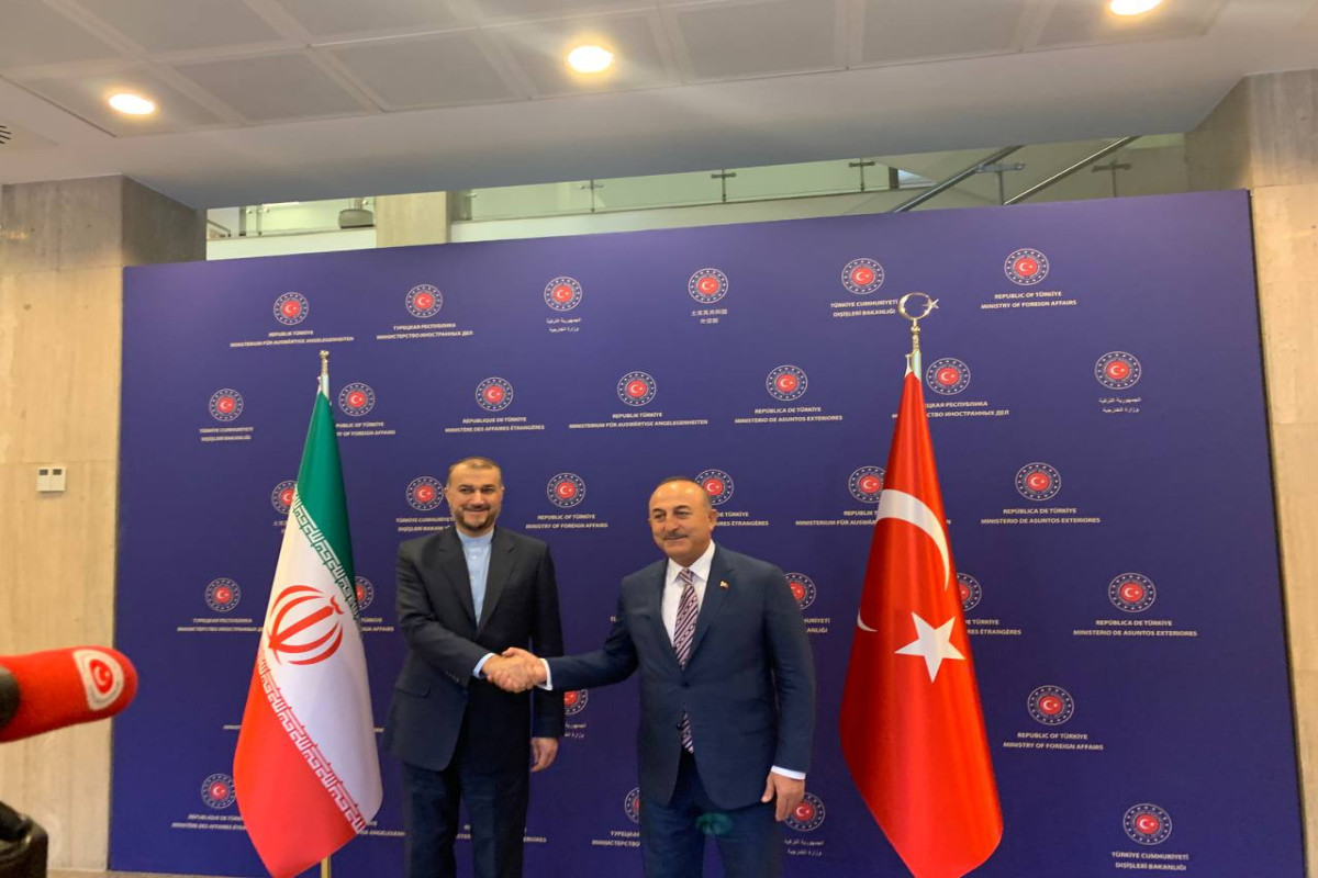 Hossein Amirabdollahian, Mevlut Cavusoglu