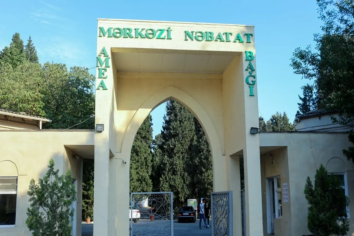 Azerbaijani PM approves regulation and structure of “Central Botanical Garden” public legal entity