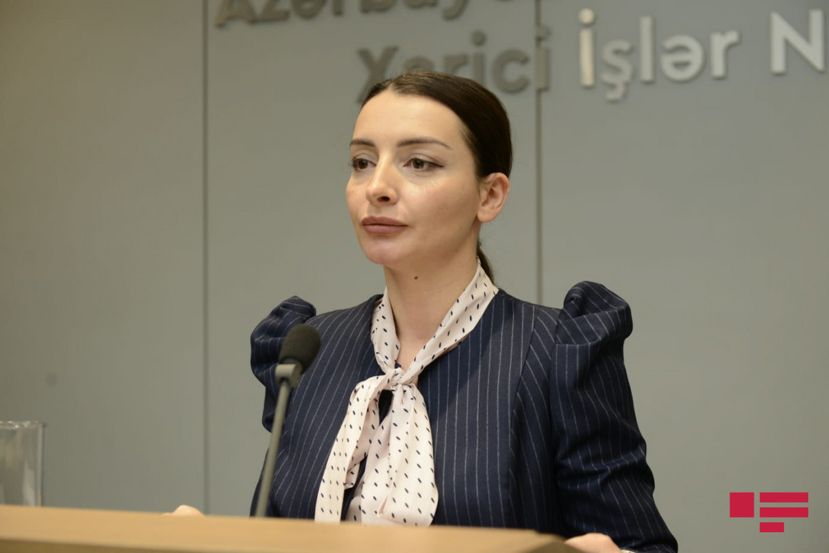 Leyla Abdullayeva,  Foreign Ministry spokesperson