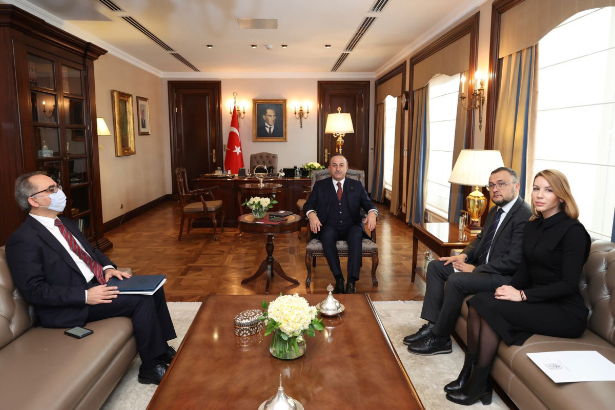 Turkish FM expresses gratitude to Ukrainian government