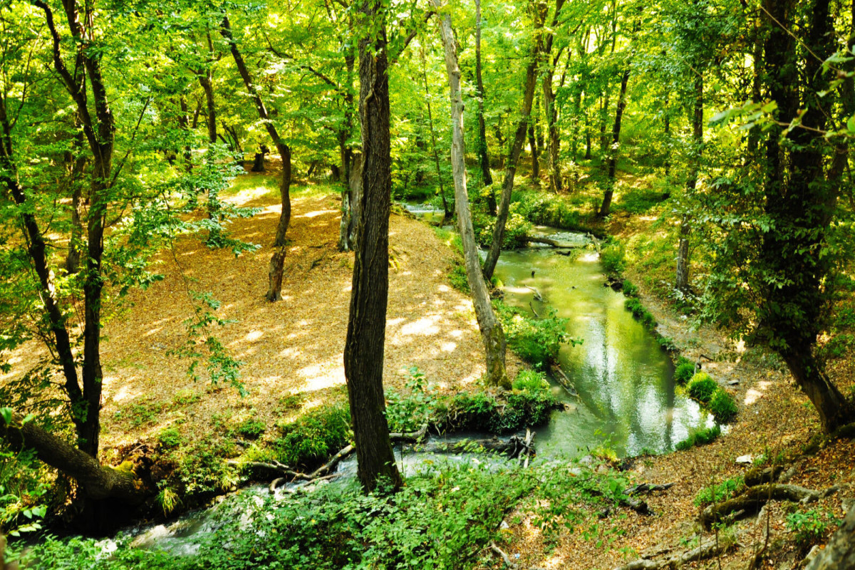 National parks and reserves to be restored in liberated territories