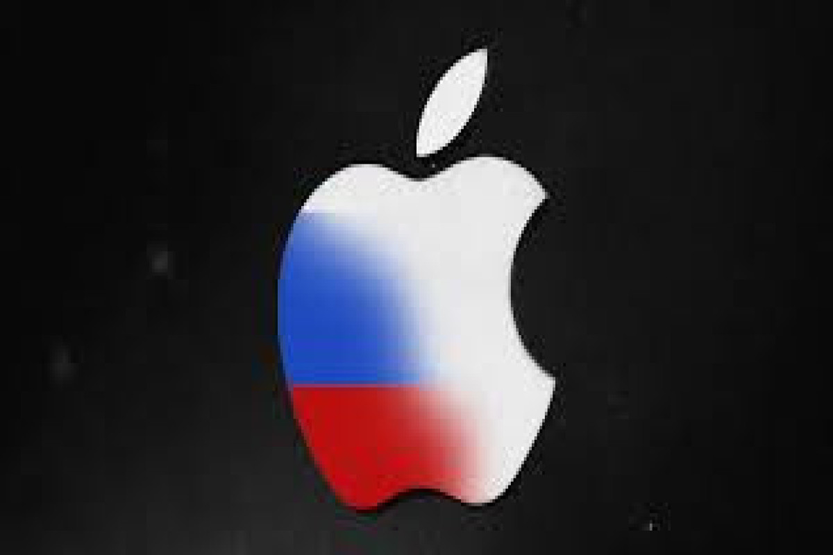 Microsoft halts sales and services in Russia