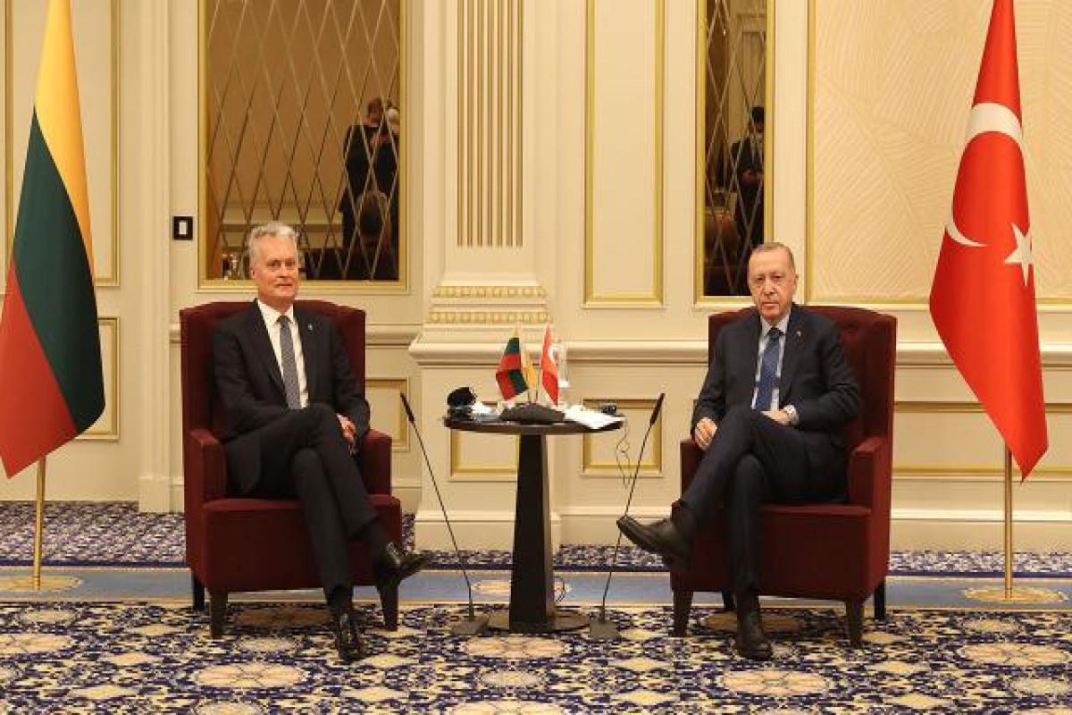 President of the Republic of Lithuania Gitanas Nausėda and Turkish President Recep Tayyip Erdogan