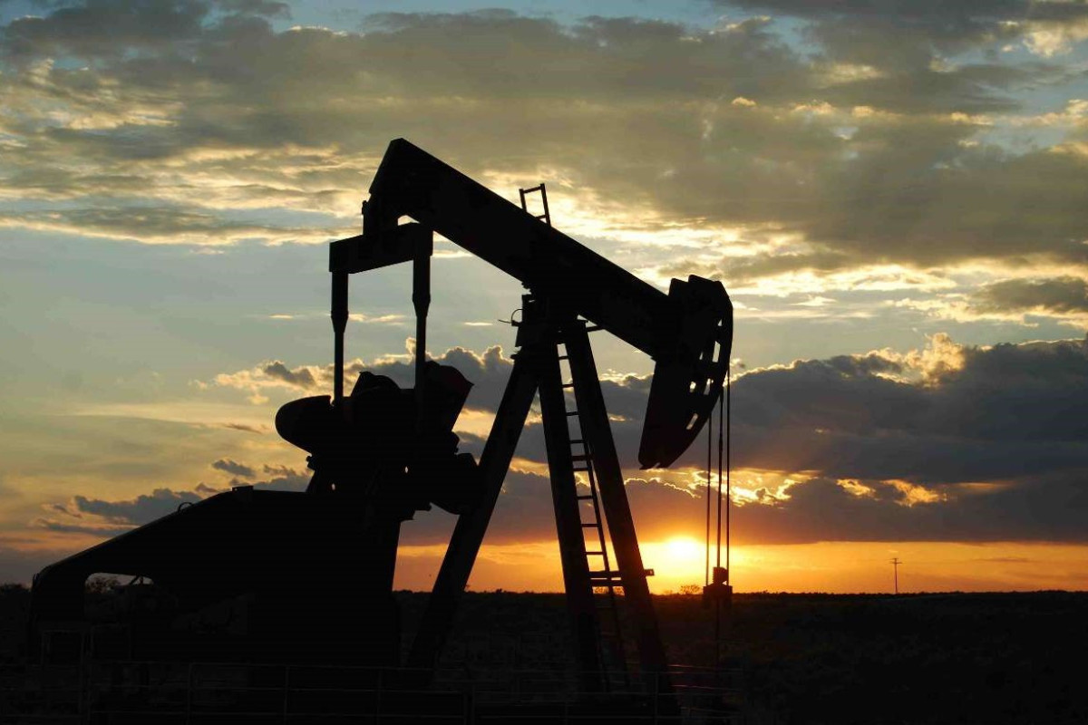 OPEC calls current oil prices unhealthy