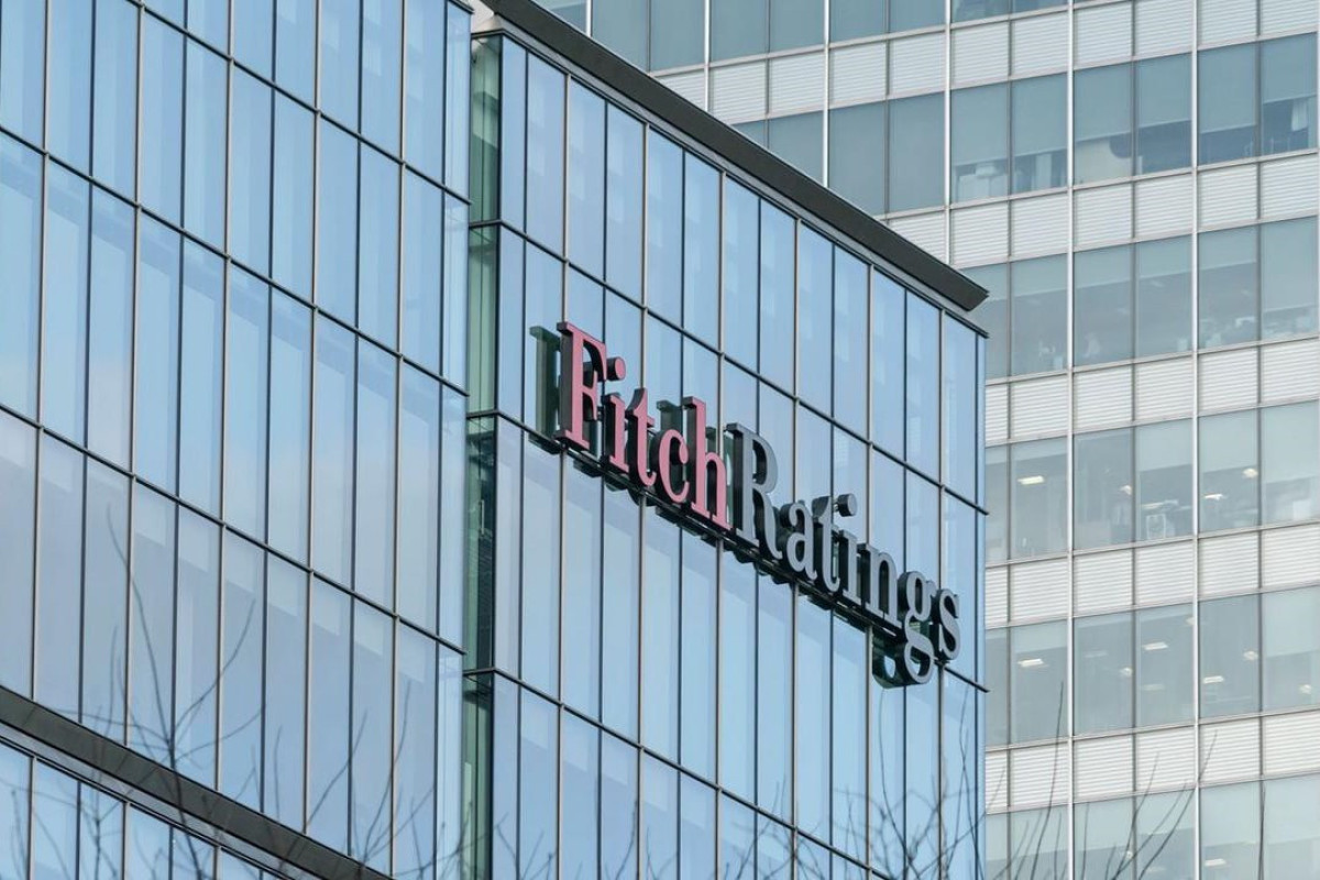 Fitch halts commercial operations in Russia