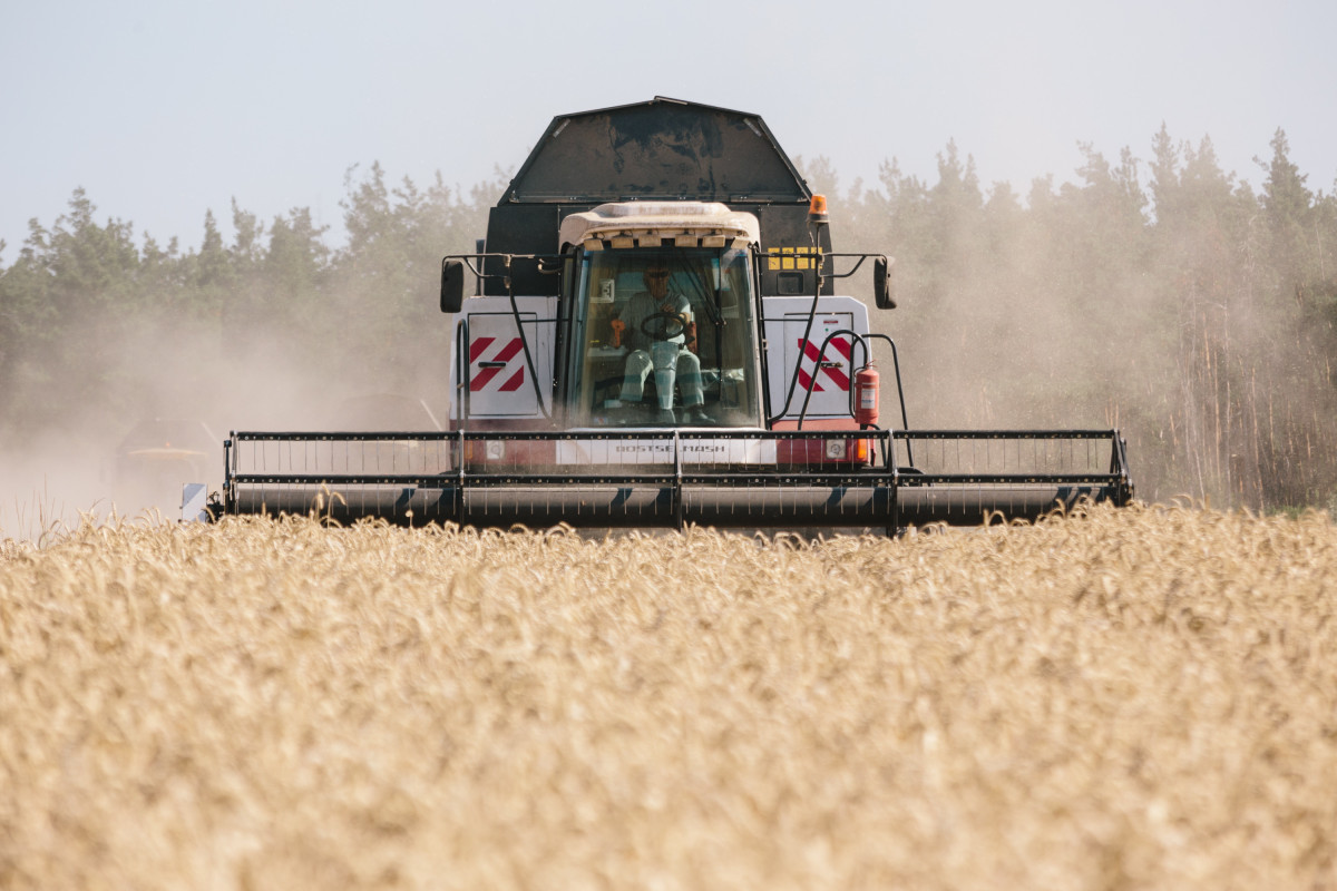 Ukraine bans exports of key goods, including wheat, sugar and meat