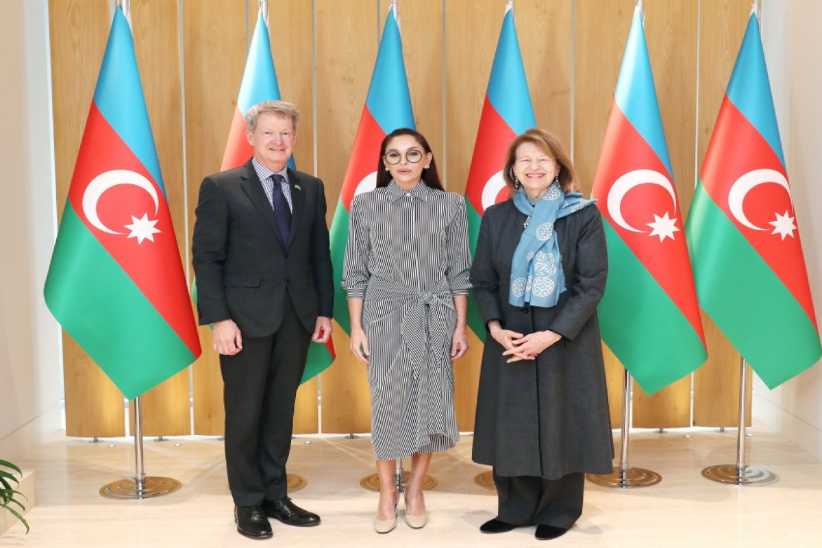 Azerbaijan’s First Vice President meets Trade Envoy of British PM-PHOTO 