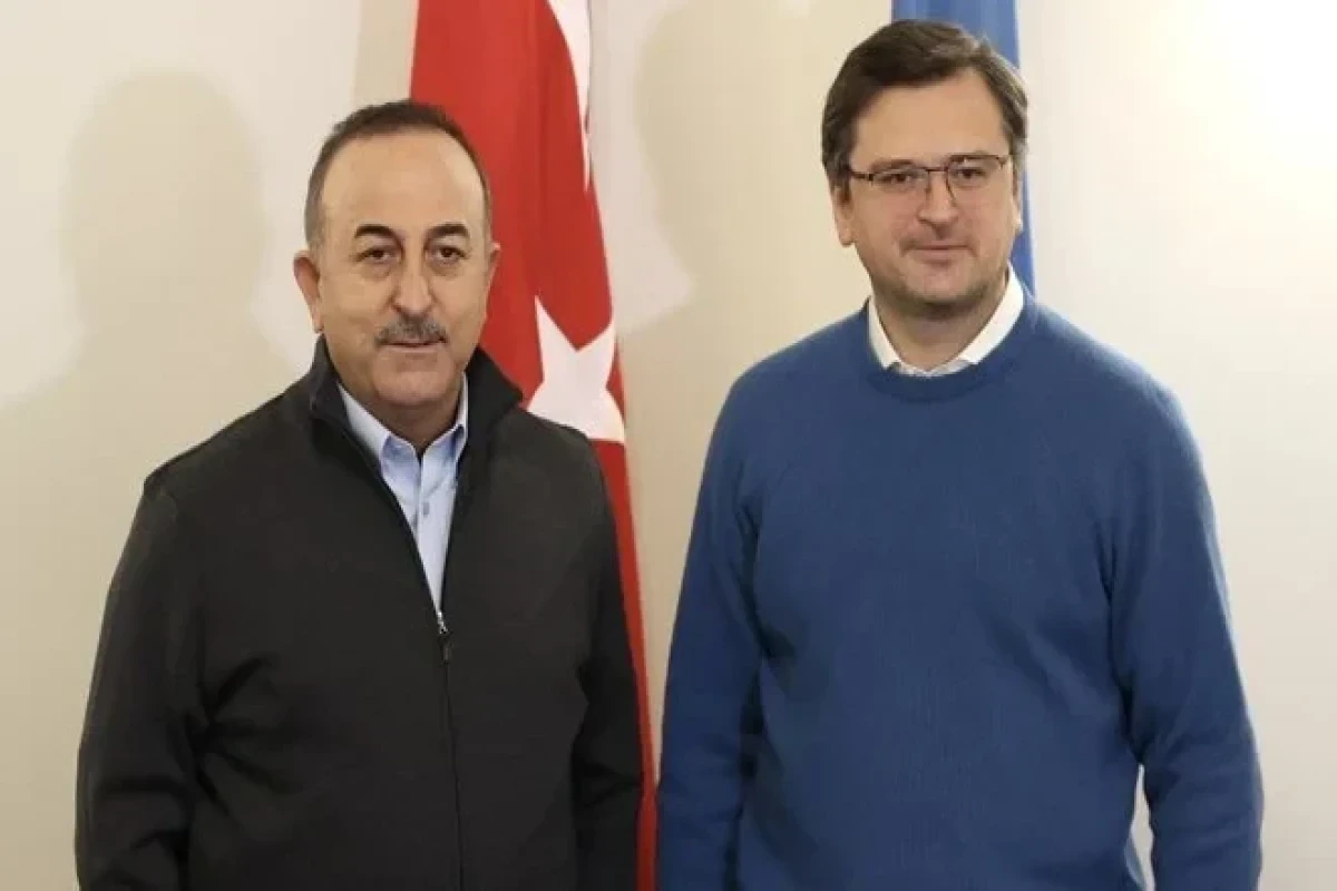 Ukrainian, Turkish FMs meet in Lviv