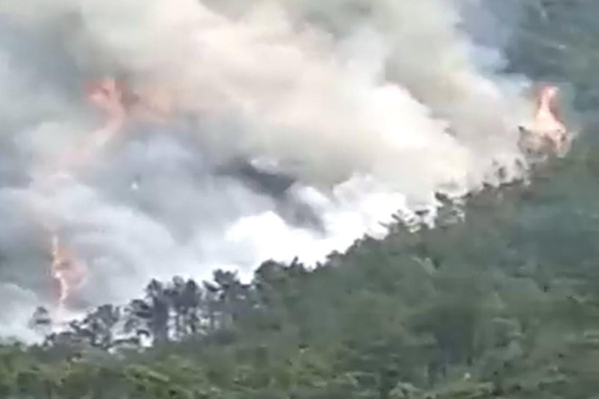 China Eastern plane carrying 133 people crashes in Guangxi, says state media