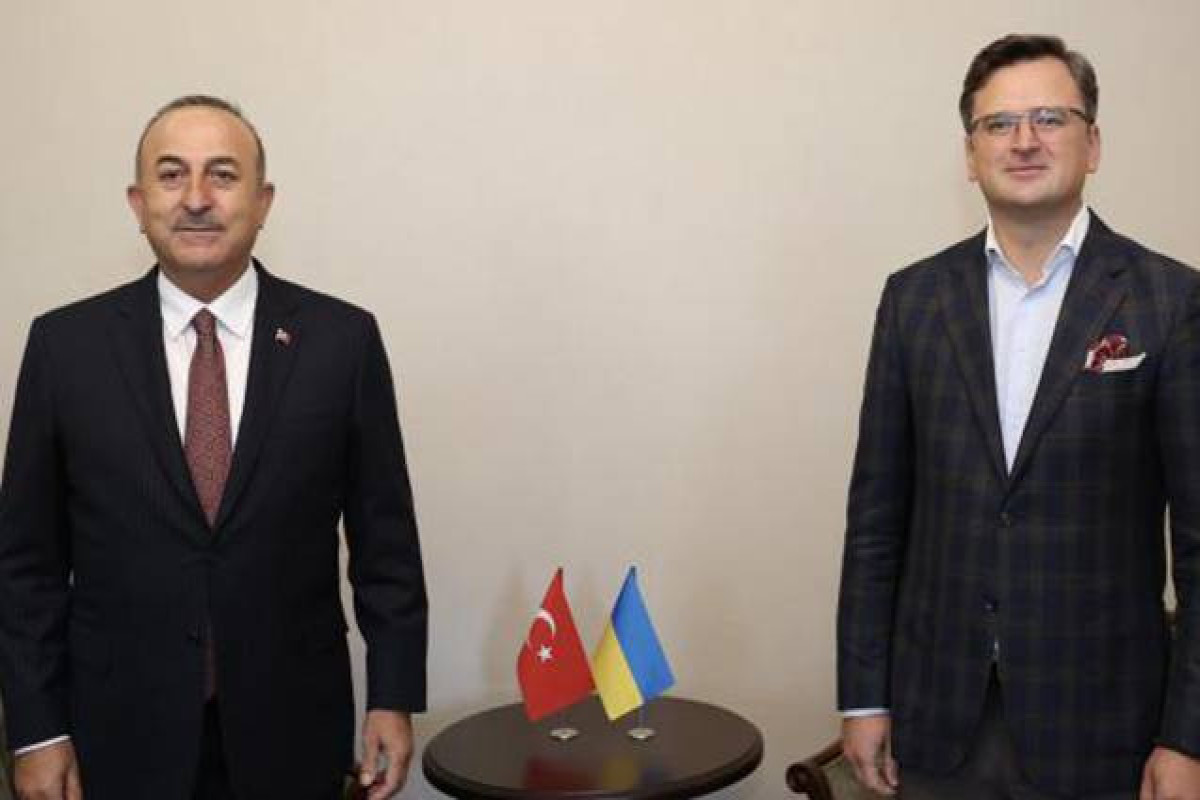 Turkish, Ukrainian FMs