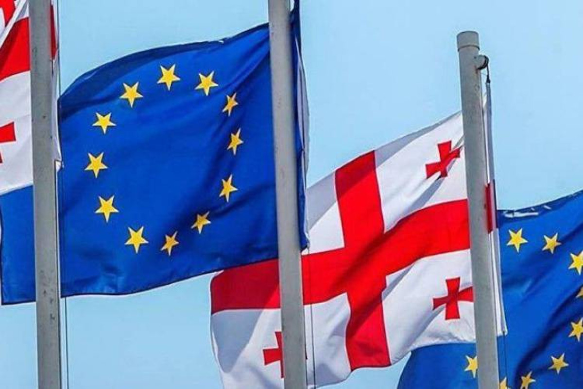EU accepted Georgia's appeal in connection with candidate status
