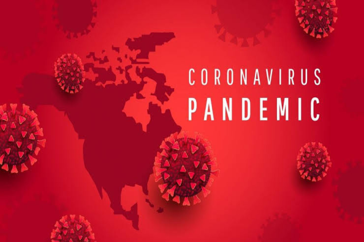 Hande Harmanci: We can end the acute phase of the pandemic this year