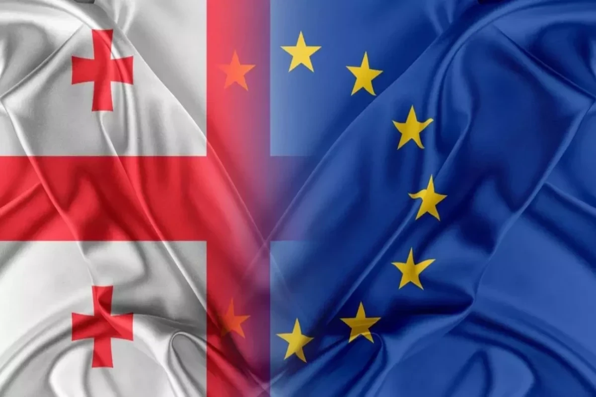 Georgia completes questionnaire for joining EU