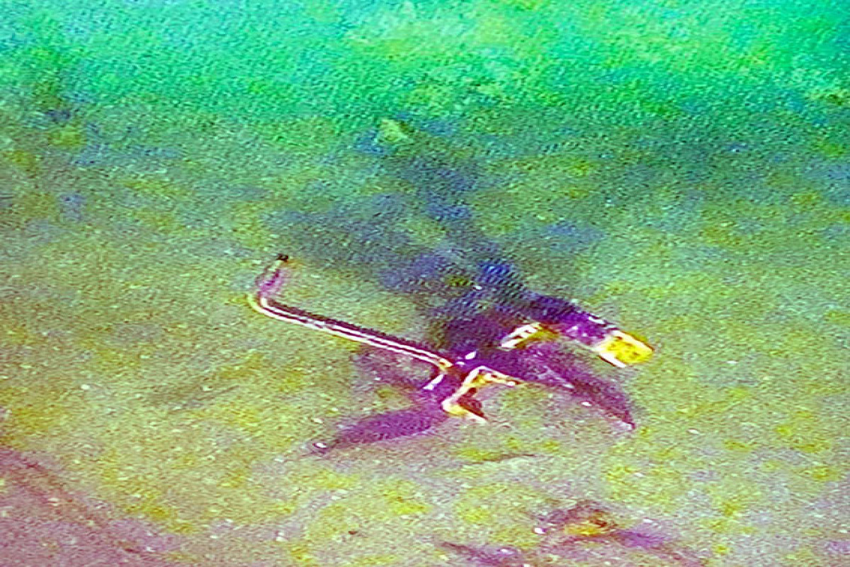 Azerbaijani MoD: Mines detected in the Caspian Sea were neutralized