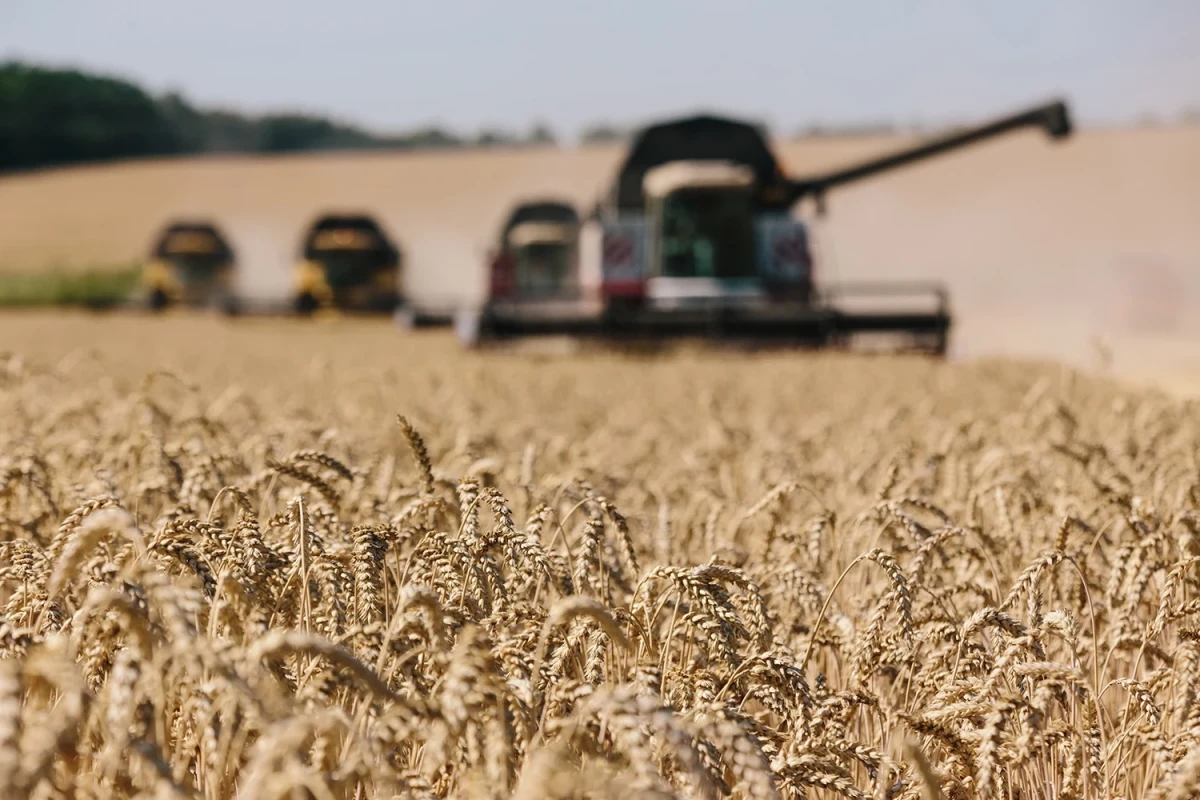 U.S will be able to replace the supply of Ukrainian grain on the world market