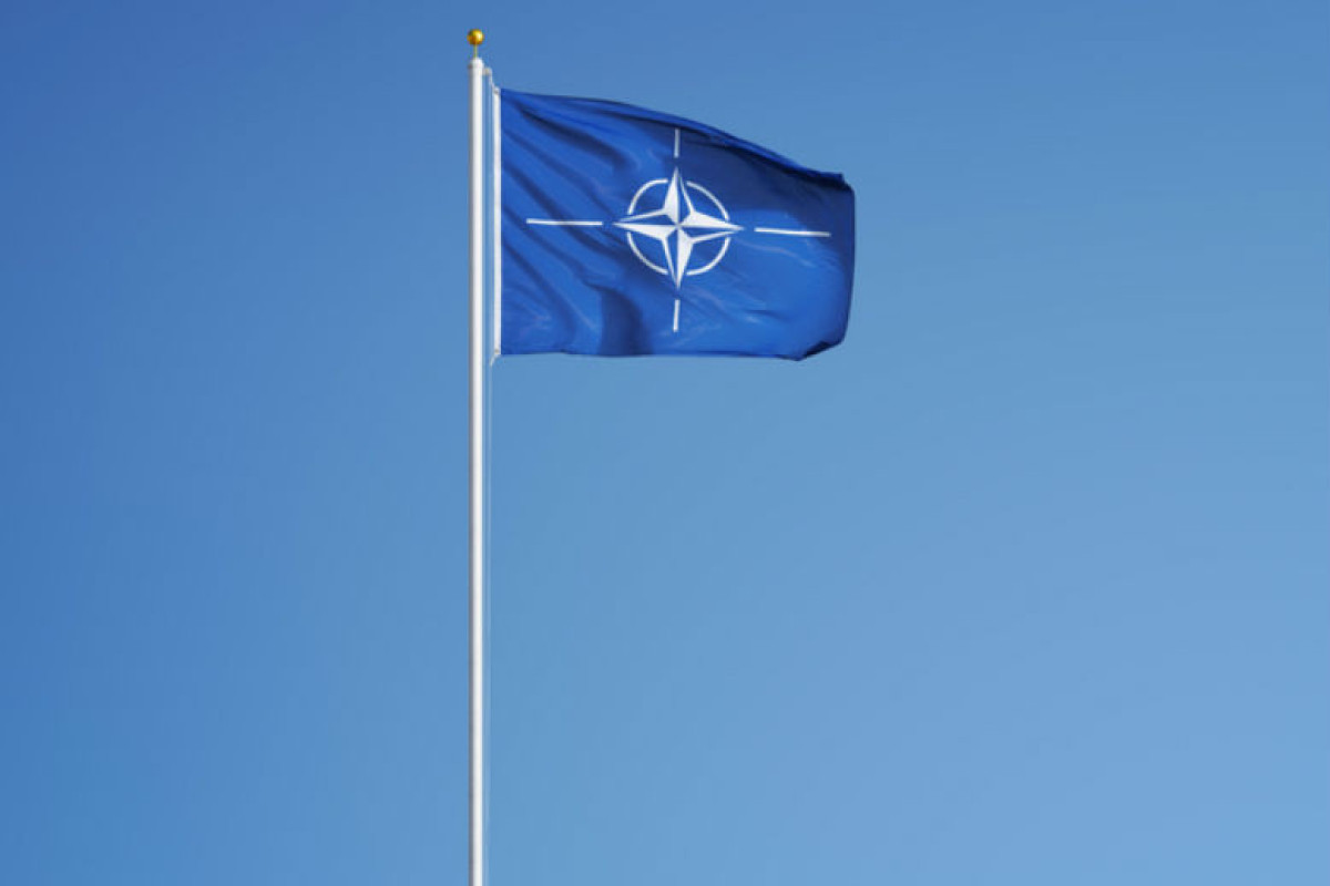 NATO members Denmark and Estonia would welcome Finland joining alliance