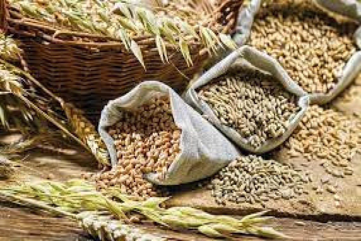 Georgia's wheat reserve depleted