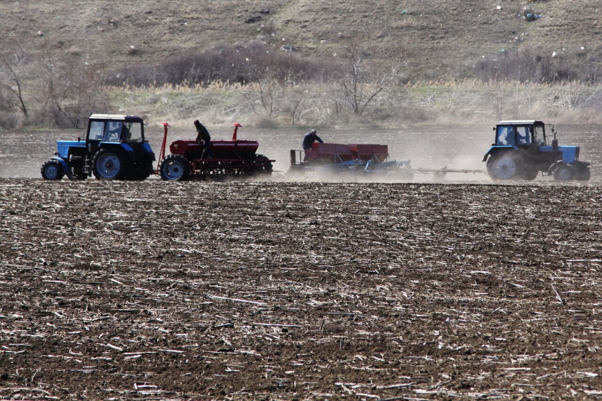 U.S is working closely with allies to try to develop routes to get vital grain supplies out of Ukraine