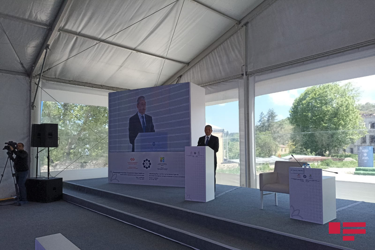 Aydin Karimov, Special Representative of President on Shusha