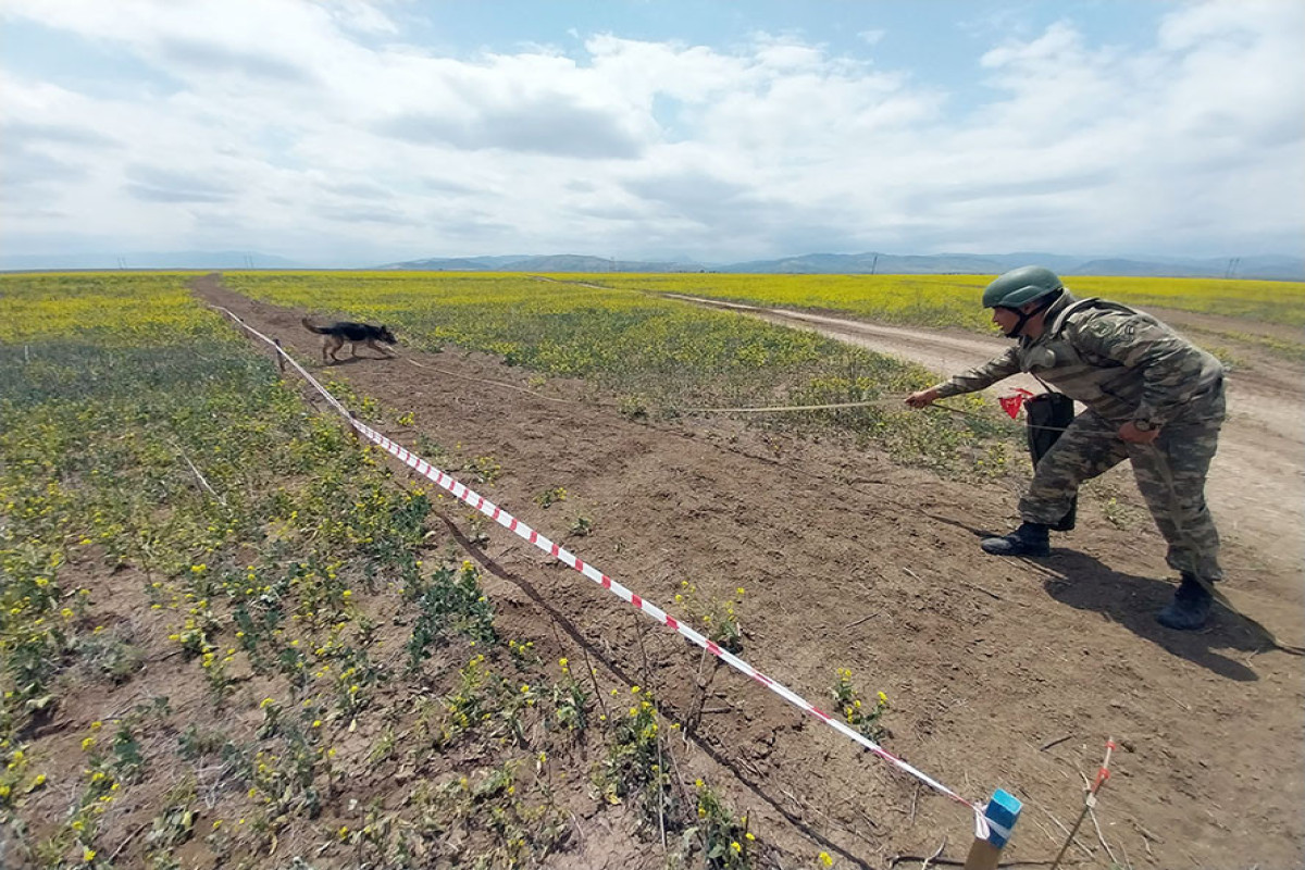 MoD: more than 140 km of new supply roads have been laid in the liberated territories