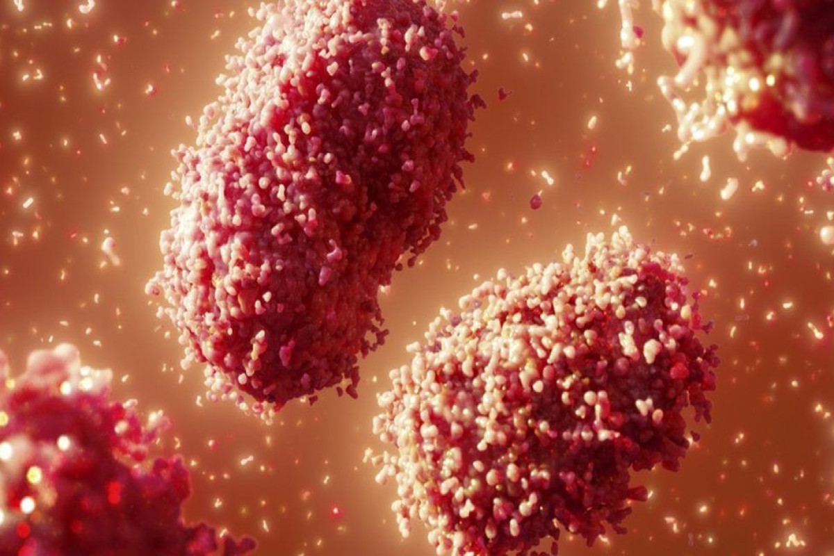 Monkeypox cases detected in three more countries for first time
