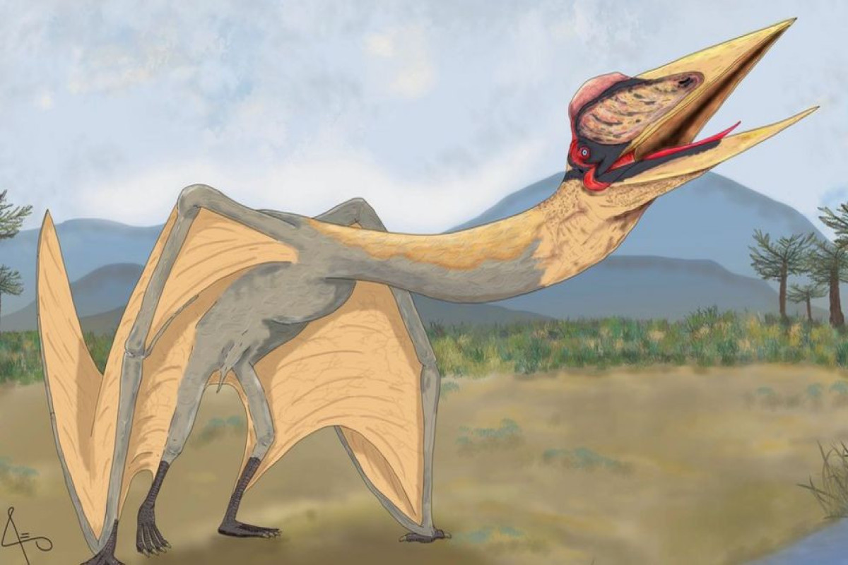 Remains of scary prehistoric creature discovered-PHOTO 