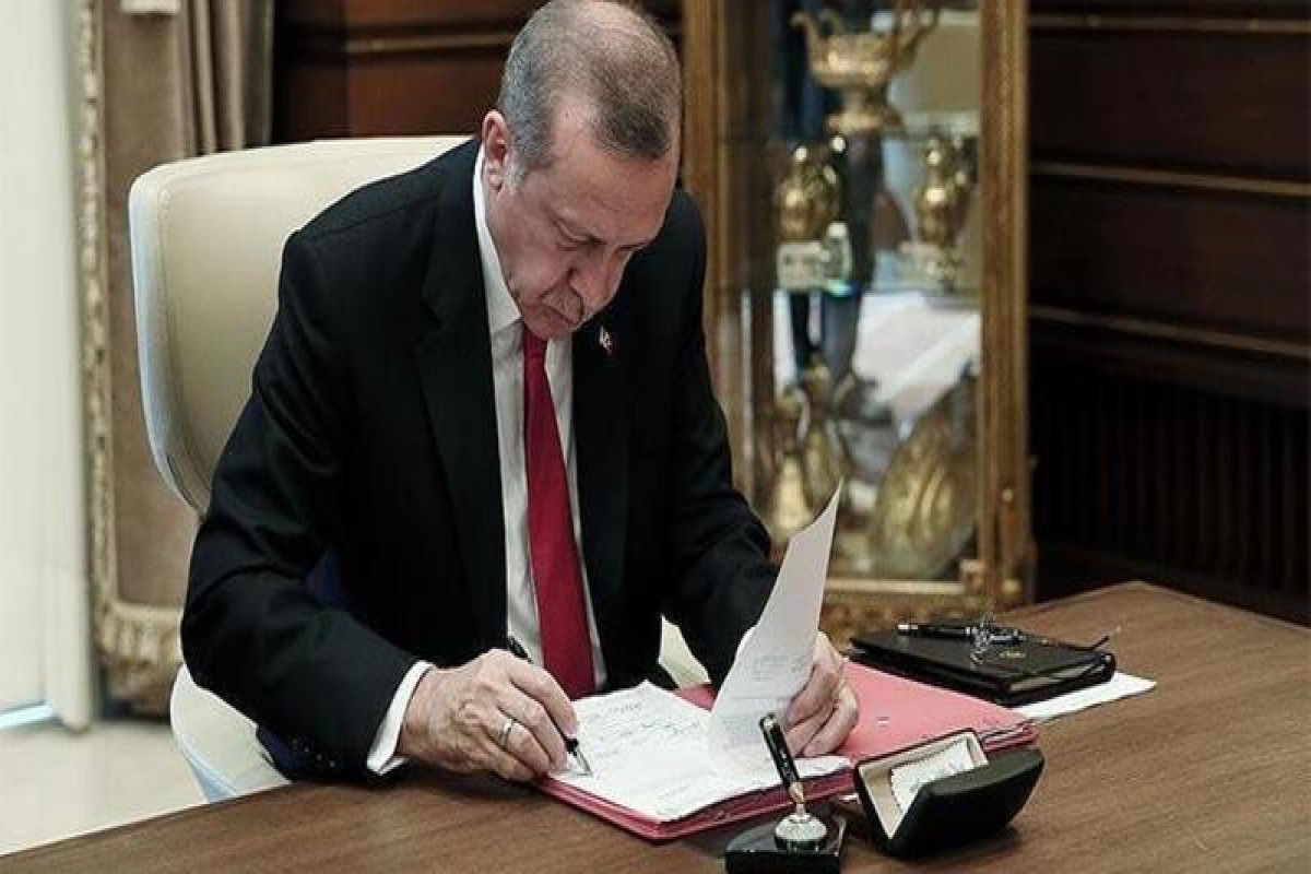Recep Tayyip Erdogan, Turkish President