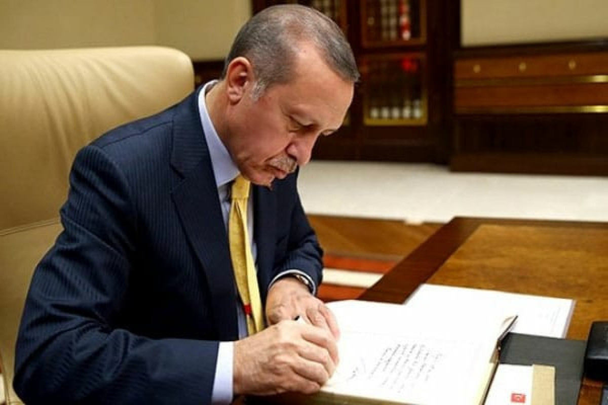 Recep Tayyip Erdogan, Turkiye's President