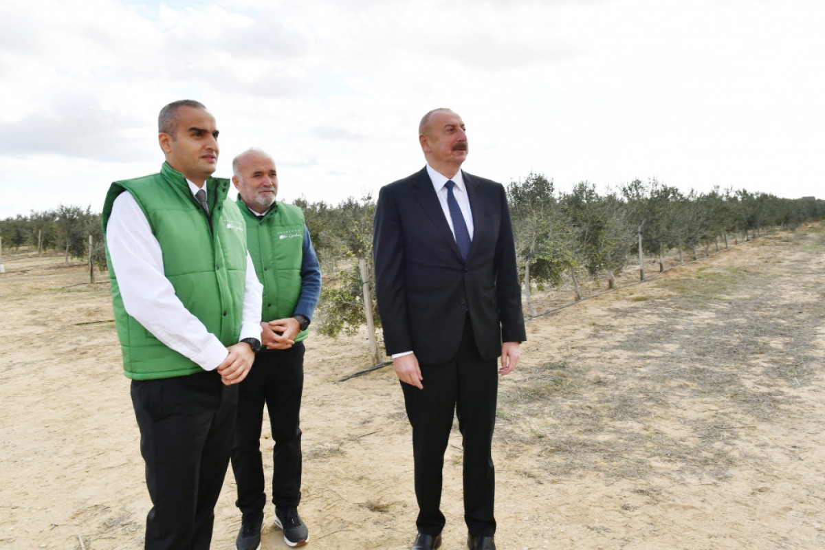 President Ilham Aliyev: We have plans to create thousands of jobs and local production in the country