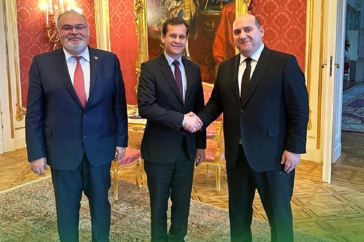 Special Representative of Azerbaijani President visits Hungary