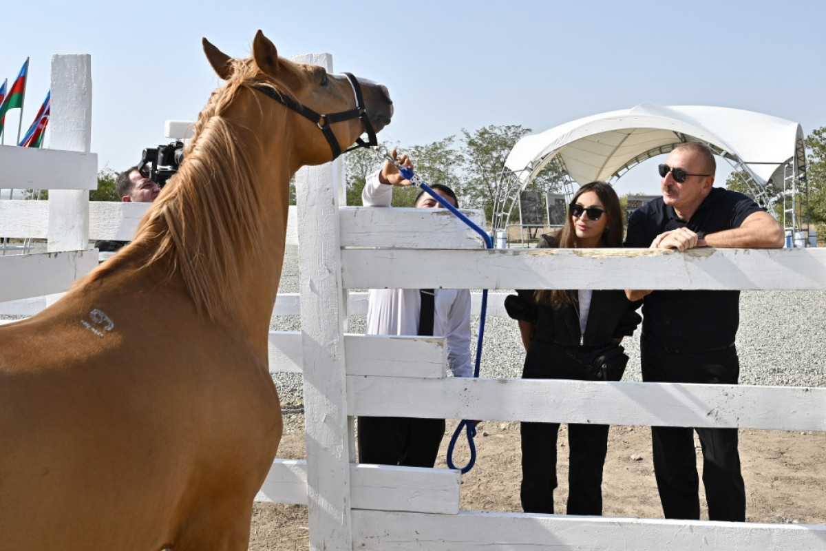 Azerbaijani President lays foundation of Horse Breeding Center in Aghdam-UPDATED 